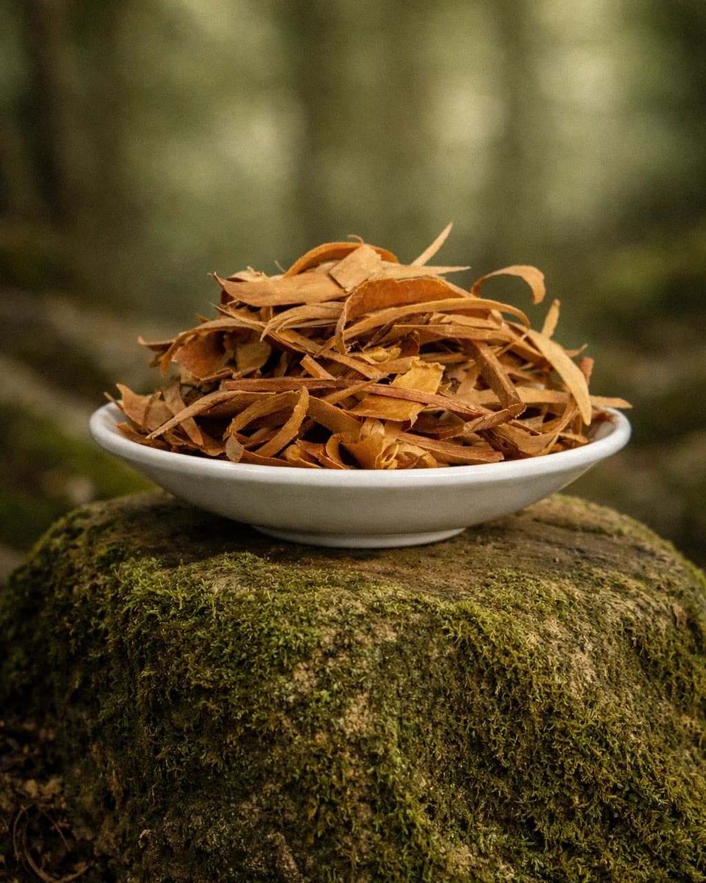 Sandalwood Chips