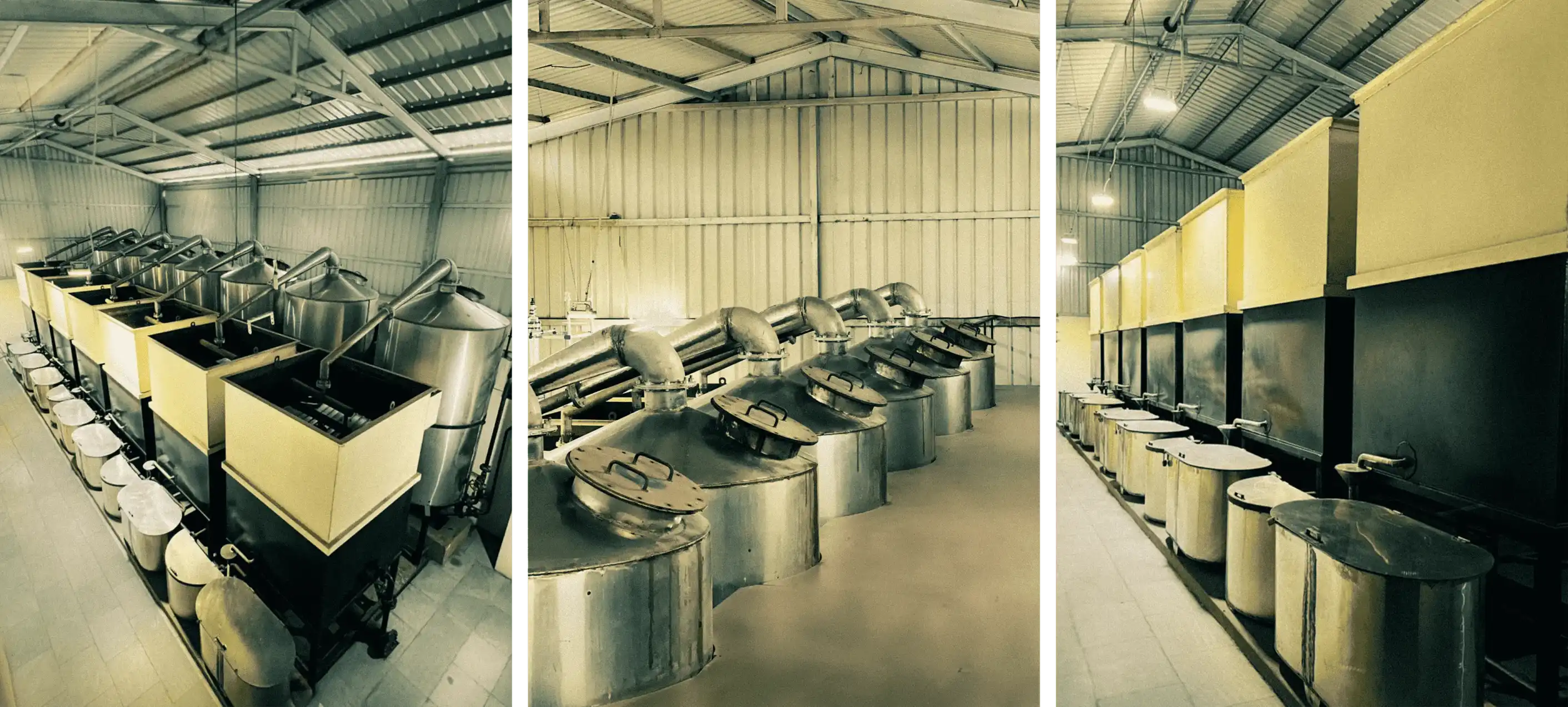 Anjum Aromatic Infrastructure Image